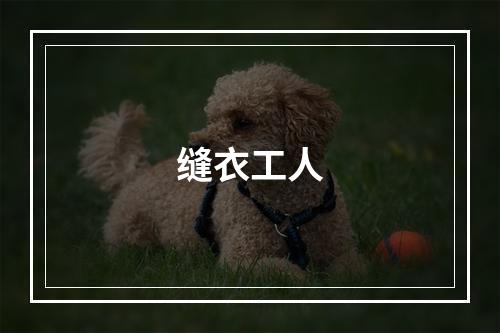 缝衣工人