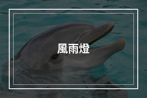 風雨燈