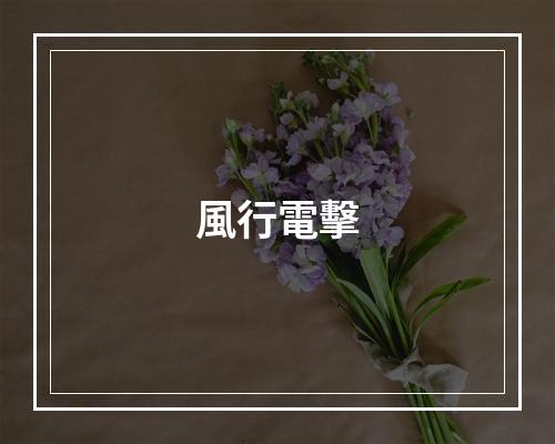 風行電擊