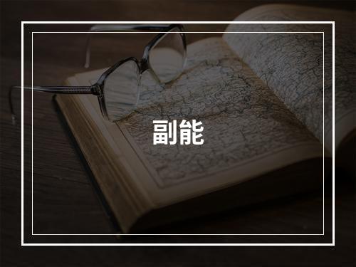 副能