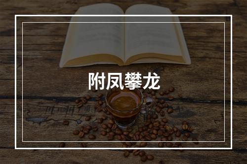 附凤攀龙