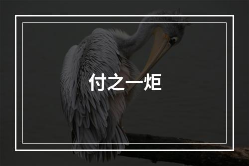 付之一炬