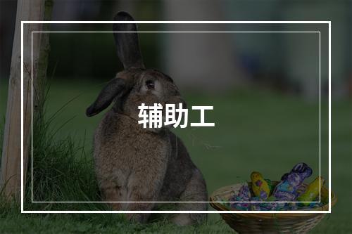 辅助工