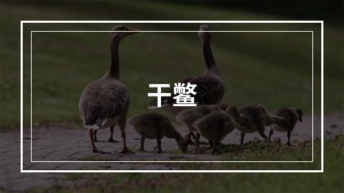 干鳖