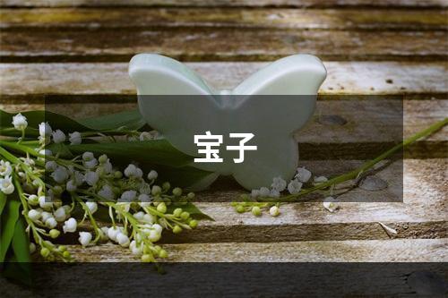 宝子