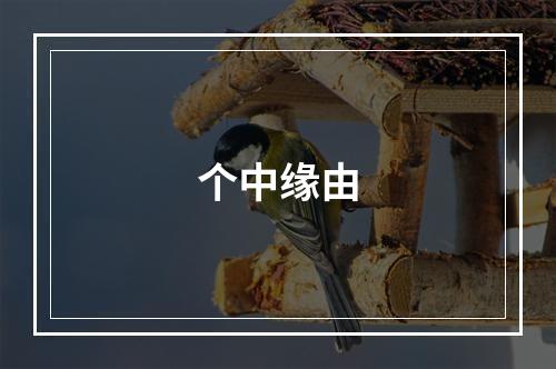 个中缘由