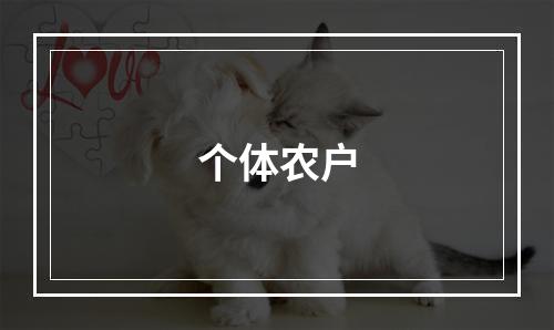 个体农户
