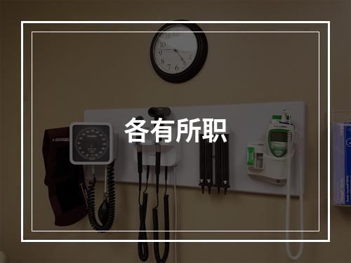 各有所职