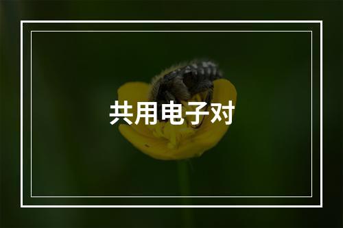 共用电子对