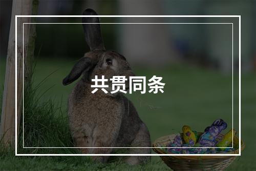 共贯同条