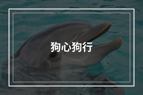 狗心狗行