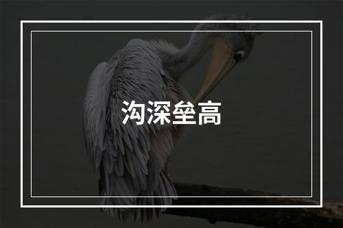 沟深垒高