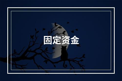 固定资金