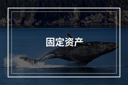 固定资产