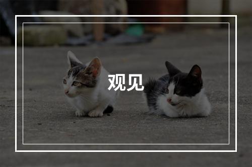 观见