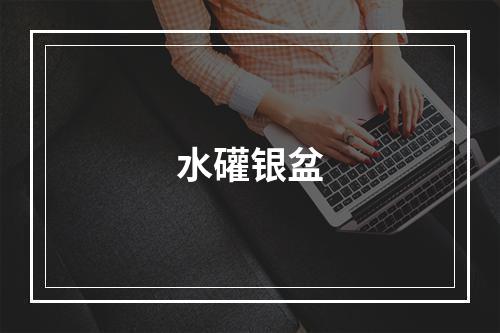 水礶银盆