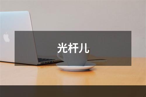 光杆儿