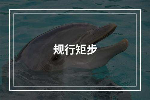 规行矩步