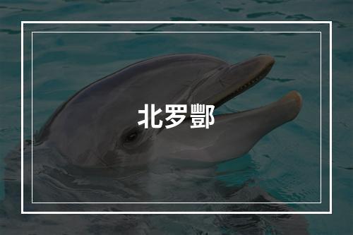 北罗酆