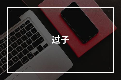 过子