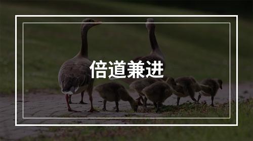 倍道兼进