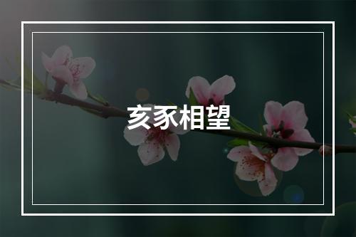 亥豕相望