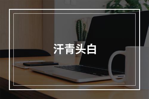 汗青头白
