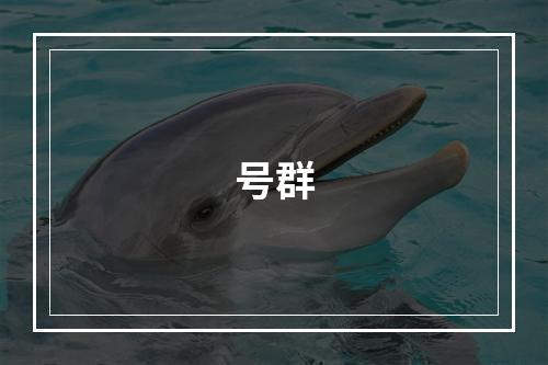 号群