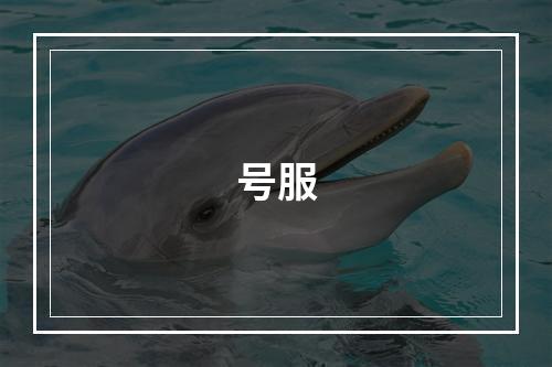 号服
