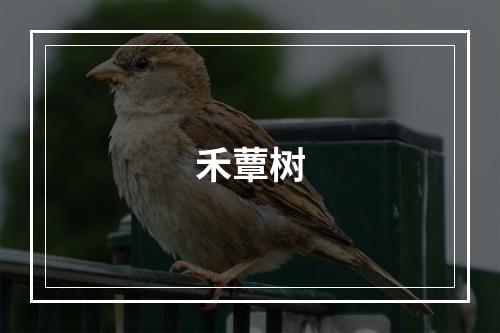 禾蕈树