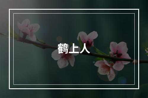鹤上人
