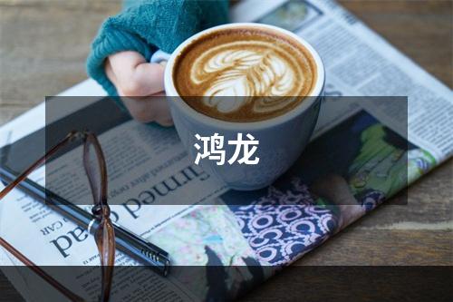 鸿龙