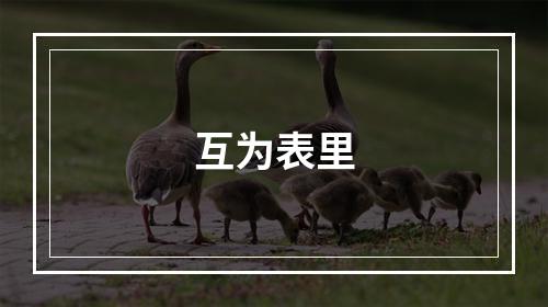 互为表里