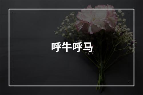 呼牛呼马