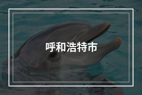 呼和浩特市