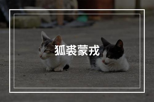 狐裘蒙戎