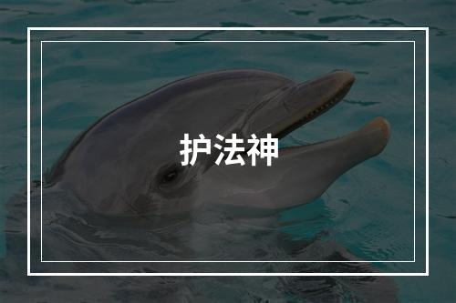 护法神