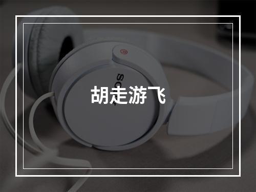 胡走游飞