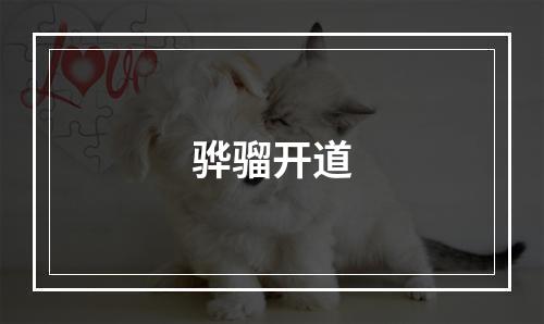 骅骝开道
