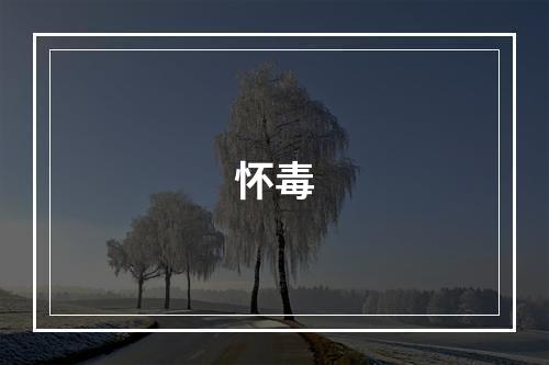 怀毒