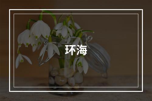 环海