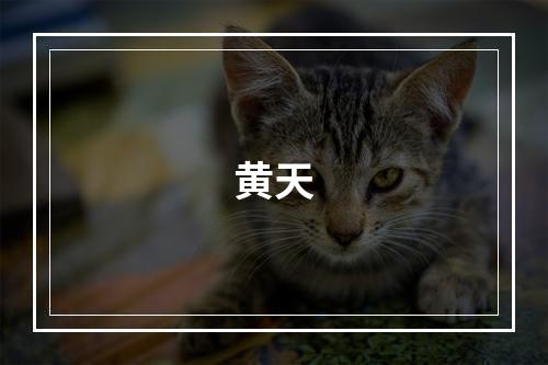 黄天