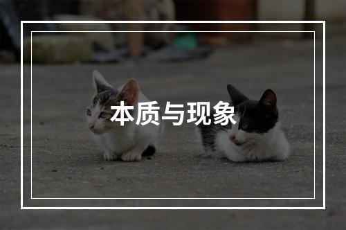 本质与现象