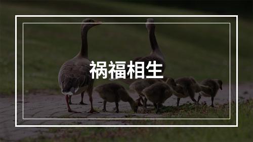 祸福相生