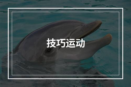 技巧运动