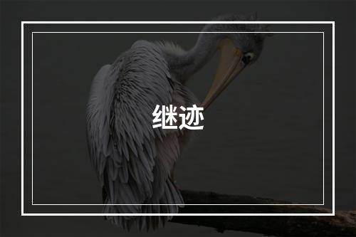 继迹