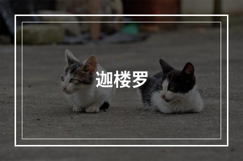 迦楼罗