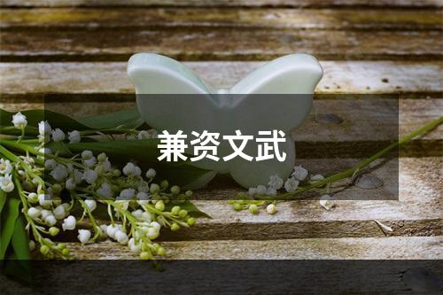 兼资文武