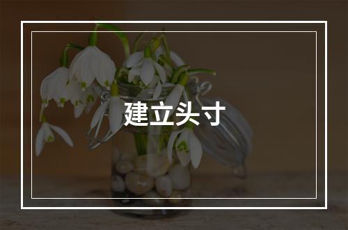 建立头寸