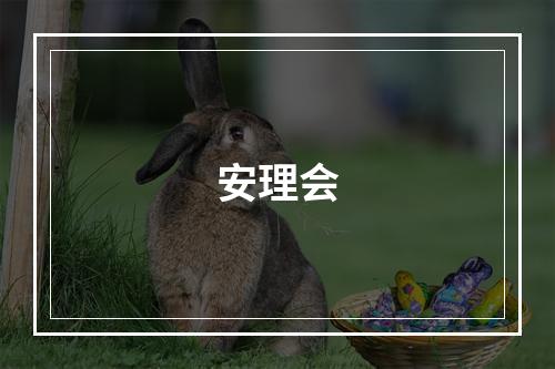 安理会